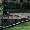 crmphoto > Asia Conference 2009 photo